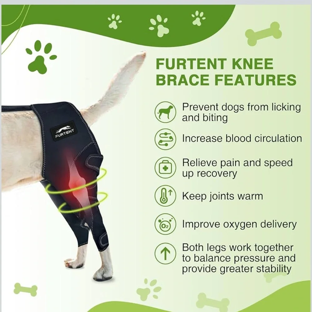 NWT Furtent Dog Knee Brace with Cruciate Ligament Injuries